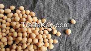Soy Beans Non GMO