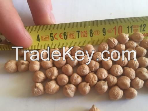 Chickpeas