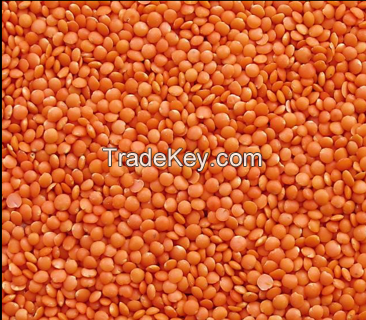 Red and Green Lentils