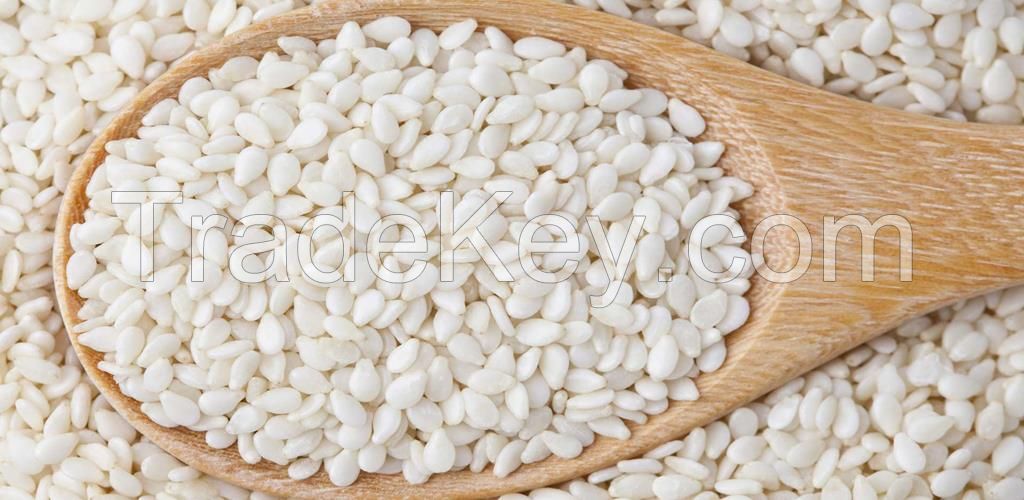 High Quality White Hulled Sesame Seeds