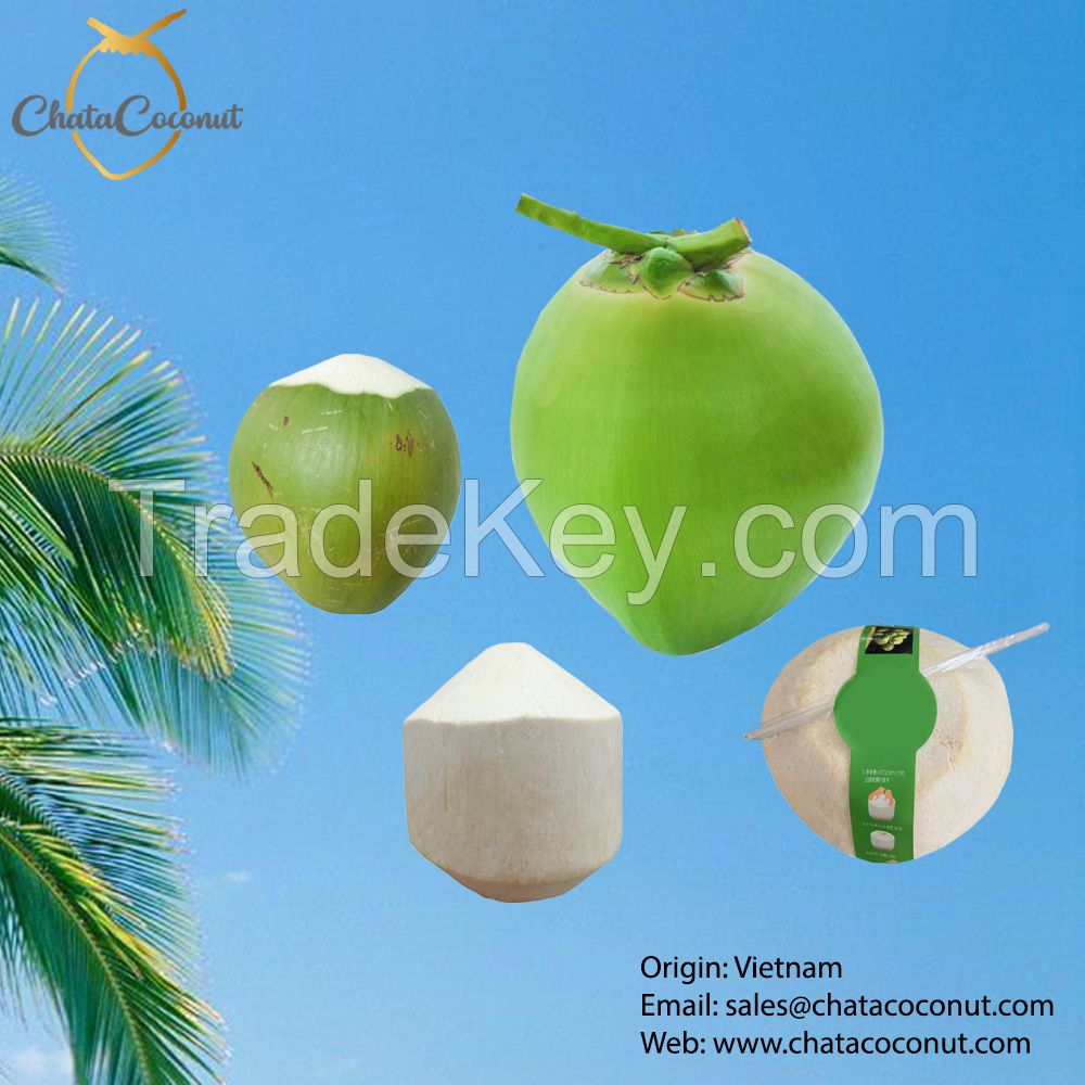 Coconut Suppliers