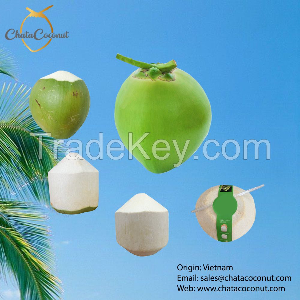 Green shell diamond coconut
