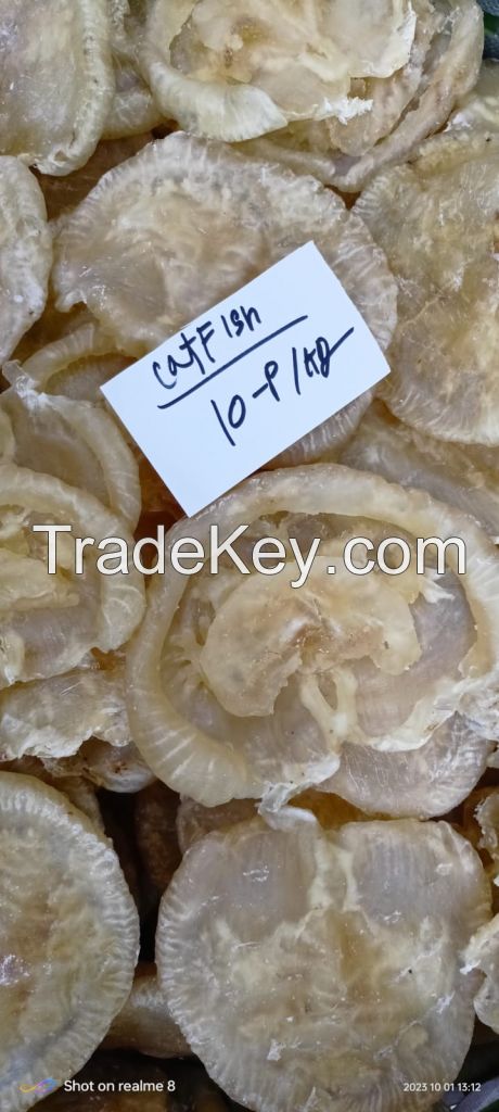 Cat fish maw sale