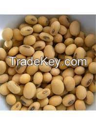 Soyabeans Seed