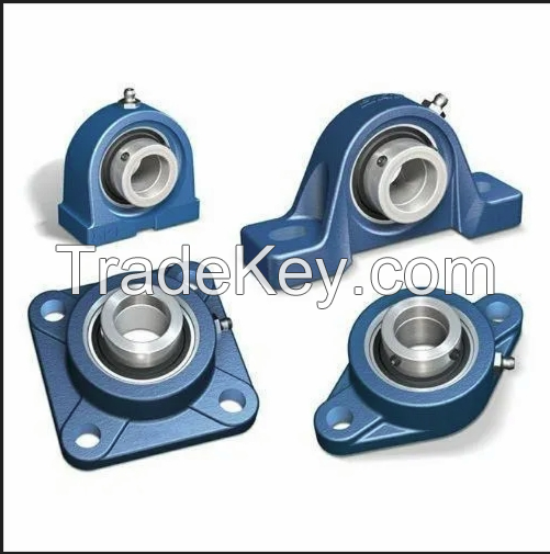 bearing unit