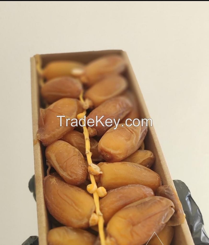 Grade A Libyan deglet nour dates