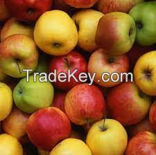 Selling Fresh Apple in wholesale price
