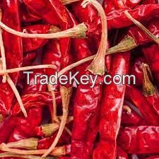 Selling Dried Red chili in cheap price