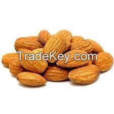 Top Quality Almond for sale