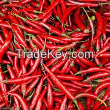 Red chili in cheap price