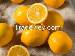 Fresh Citrus fruit