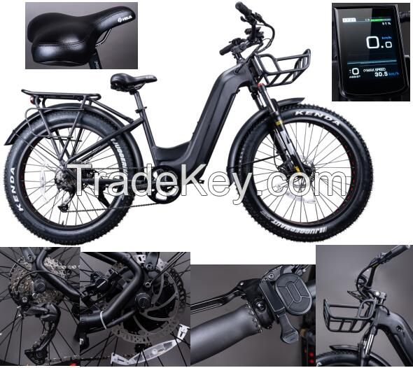 Sell Electric Bike