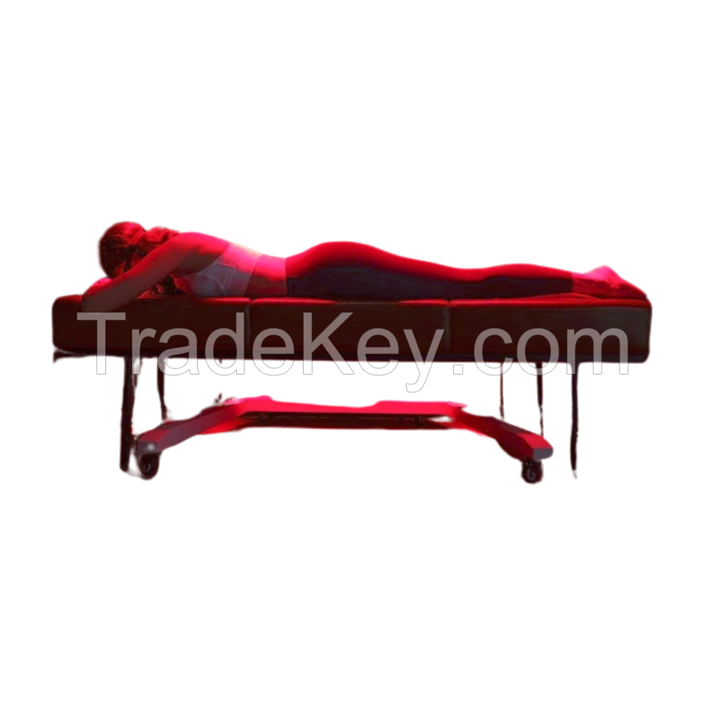 OEM factory wholesales the red therapy LED lamps