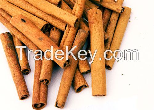 Hot Selling Vietnam Finger Cassia (Cigarette cassia/ Cassia Verra/ Stick cassia) Good Price High Quality For Middle East arketM