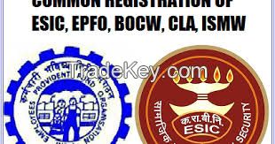 Consultant of EPF and ESIC