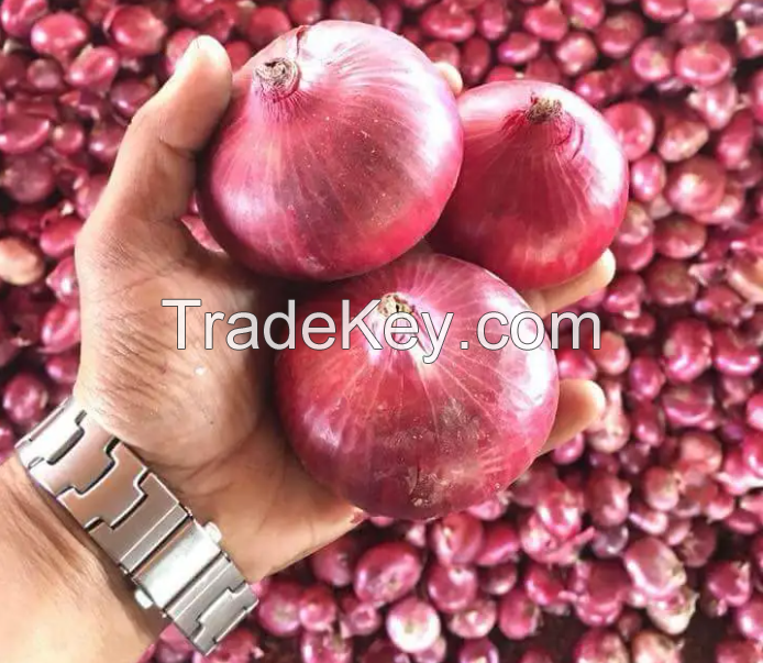 Fresh Red Onions