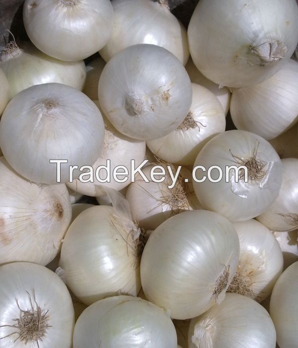 Fresh White Onions