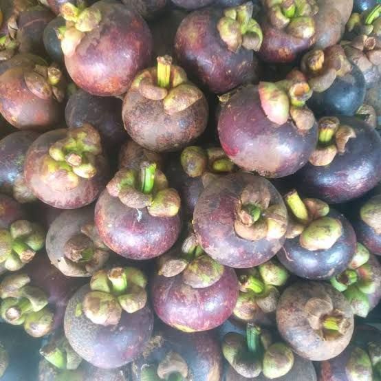 Mangosteen fruit, fresh fruit, tropical fruit, 