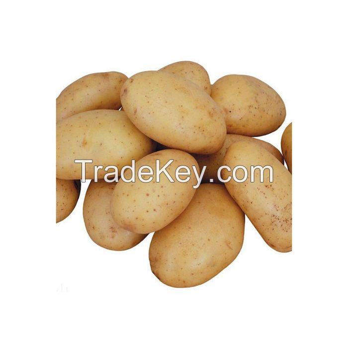 Good vegetable fresh potato export wholesale price