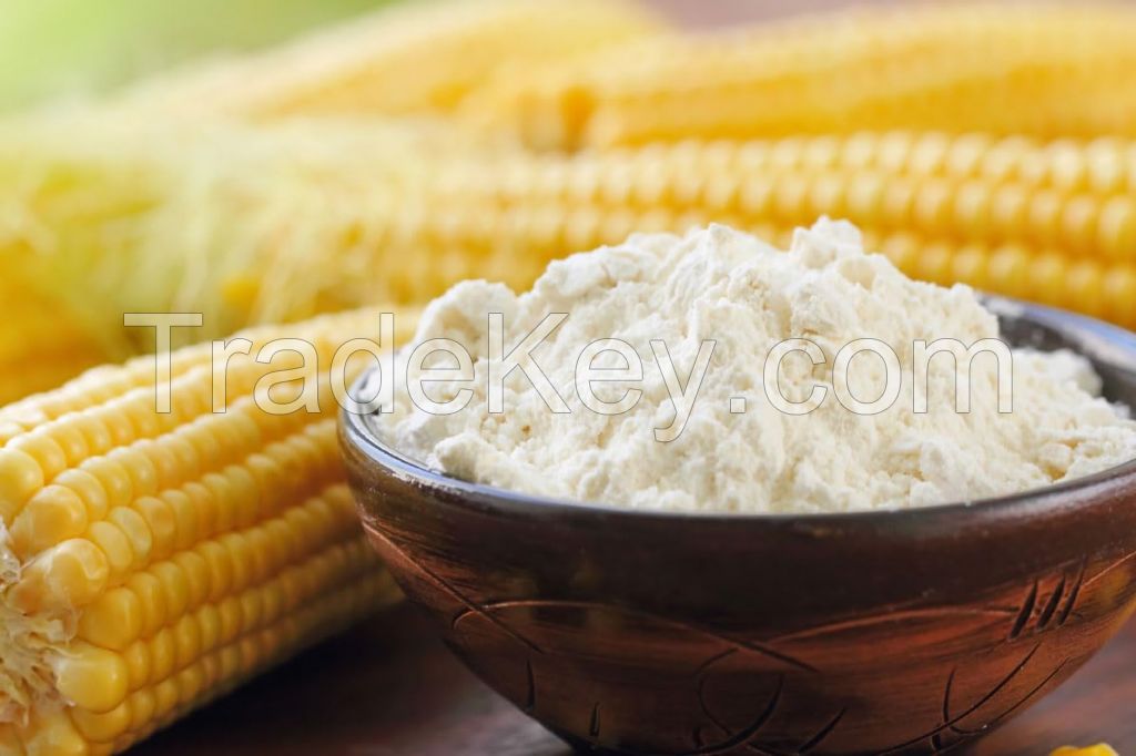 Native Corn Starch  Manufacture Native Corn Starch  For Sale