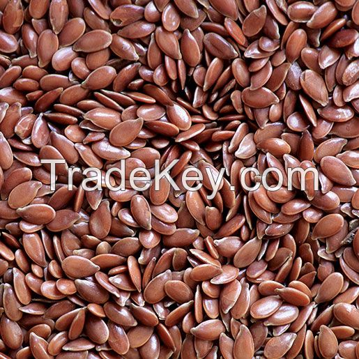 Flax seed Manufacture Flax seed For Sale