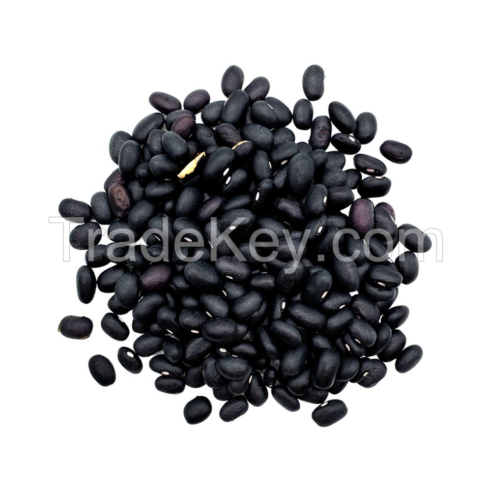 Black Kidney Bean Black Kidney Beans Wholesale Dried Dark Red Kidney Bean For Sale
