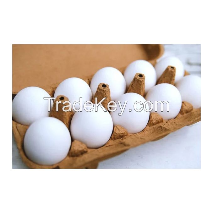 Farm Fresh Chicken Table Eggs / White Supplier of Fresh Protein Rich Farm Chicken Eggs Fresh Table Eggs White Farm