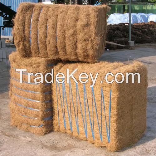 Good Palm fiber export wholesale price