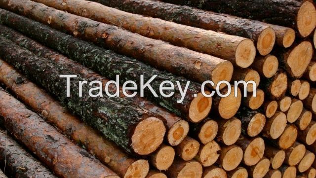 Good Wood logs  export wholesale price
