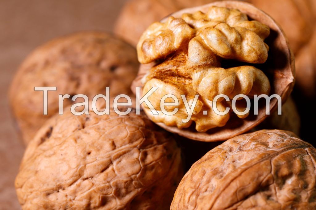 Walnut kernel / walnut / whole walnut without shell/ Halves Walnuts , Walnut Kernel, Walnuts for sale.