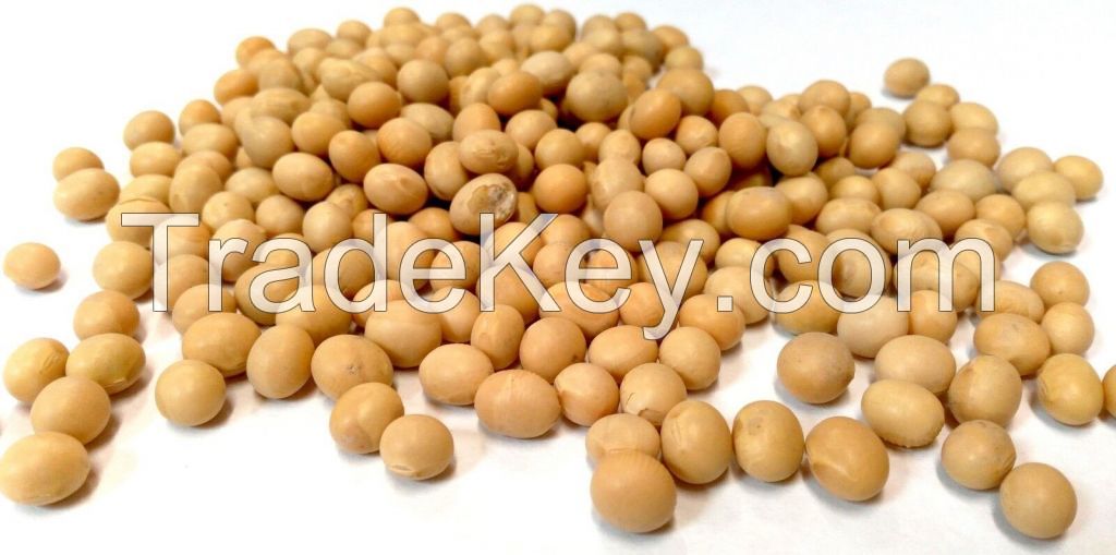 Soybeans / Soyabean - Non Gmo Organic Yellow Soybeans - USA Origin.