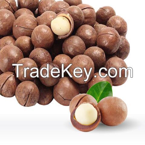 Wholesale Macadamia Nuts - Premium Quality - Best Prices.