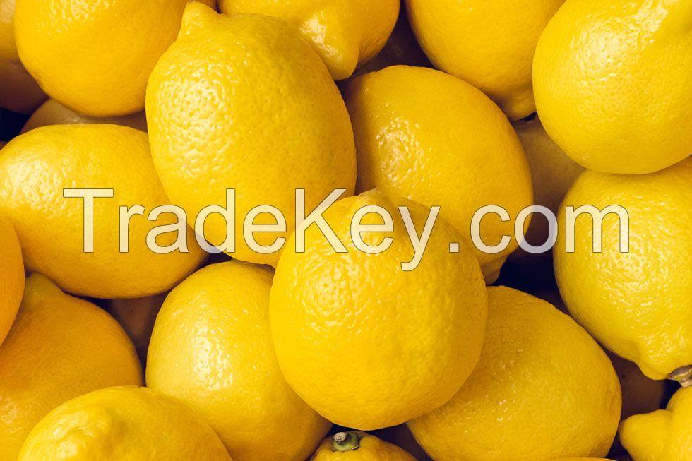 Fresh Yellow Lemons - USA Origin - Best Prices