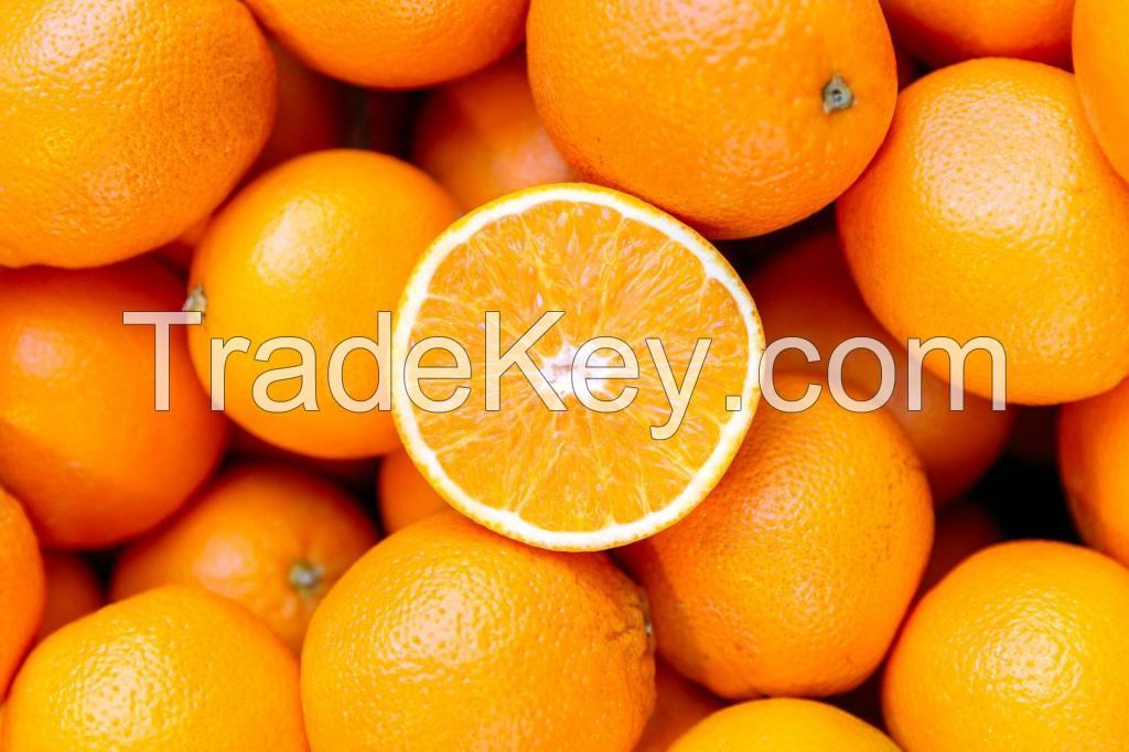 Fresh Oranges from the USA - Valencia Oranges, Navel Oranges, Mandarin and Tangerine