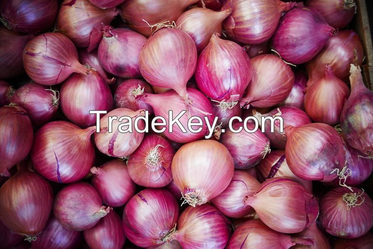 Fresh Onions, Red Onions, white Onions from the USA