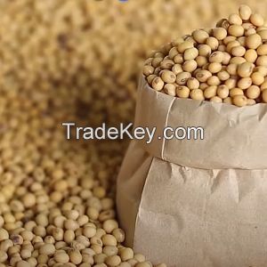 Soya Beans