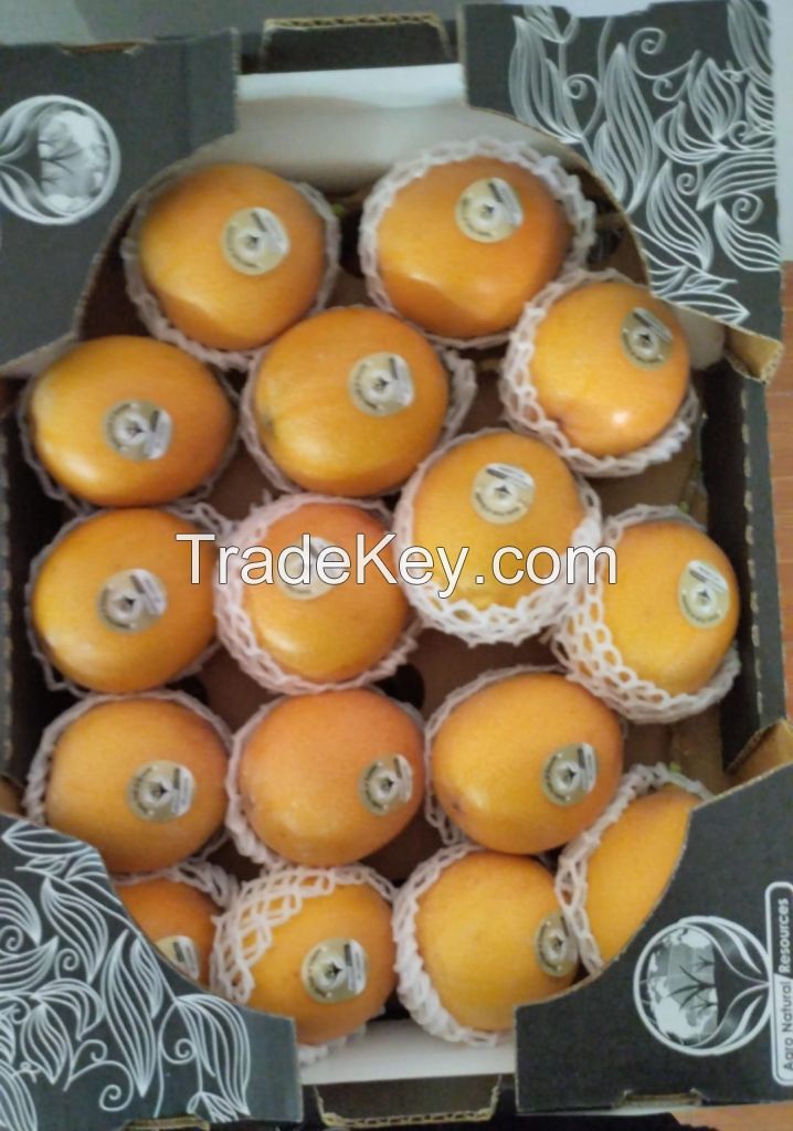 SELL FRUITS EXOTICS .... GRANADILLA - MARACUYA -  TAMARILLO - ORIGIN ECUADOR