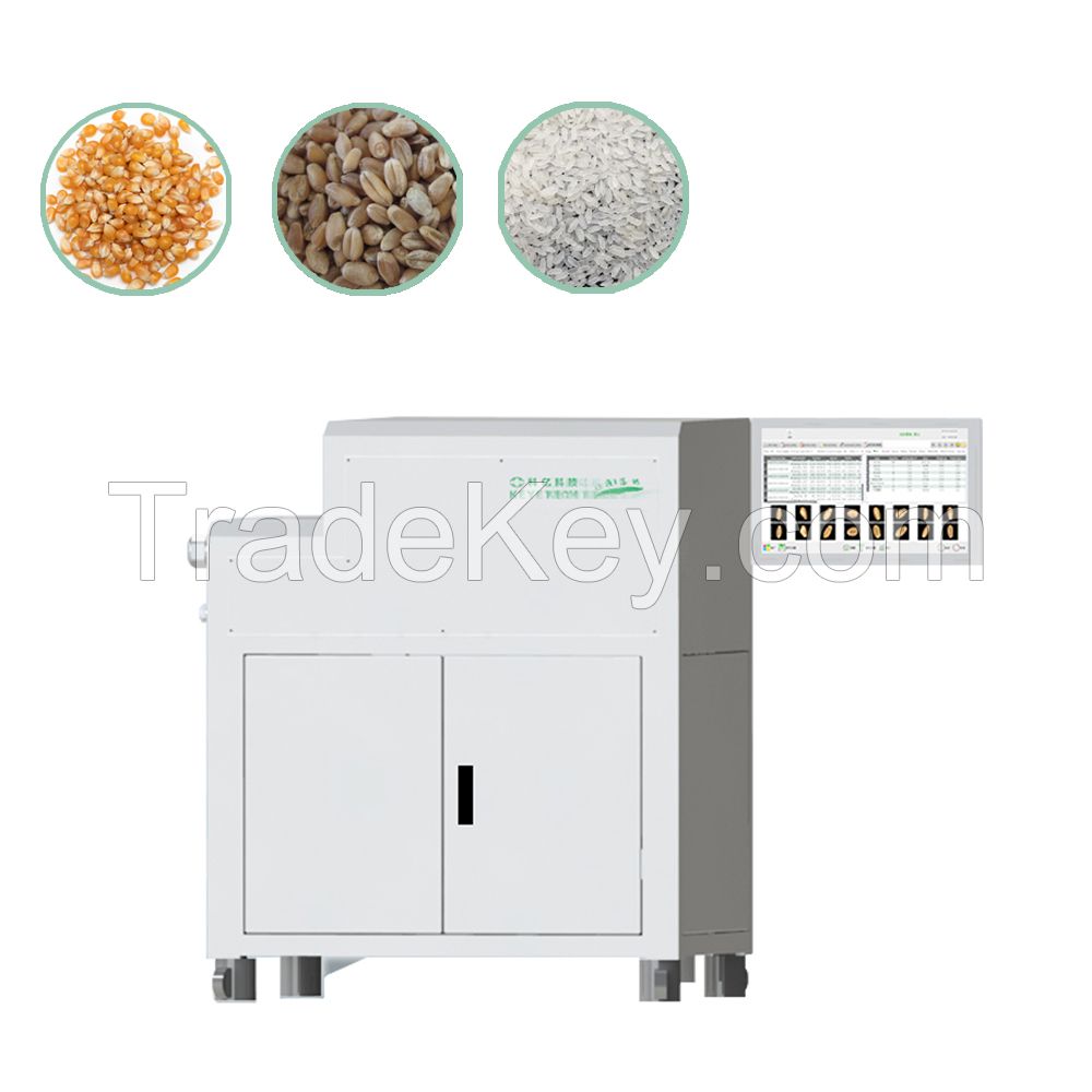 AI Grain Quality Analyzer