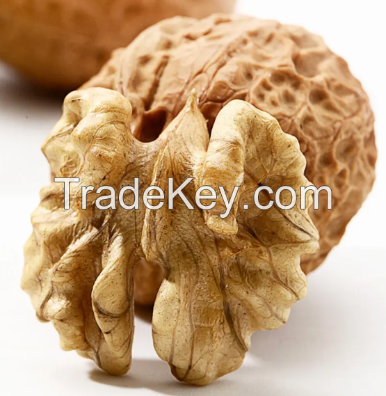 Walnuts, Fresh walnuts, Dried Walnuts, Quality 100%