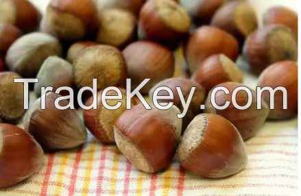 Sell Nuts ( Hazelnuts, Pistachios, Chickpeas )