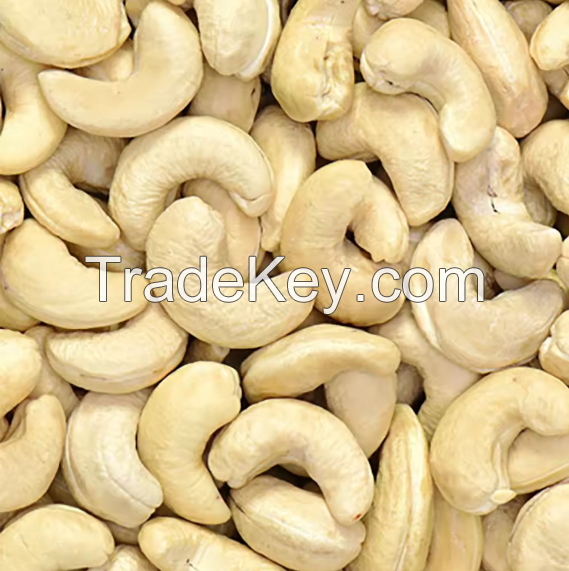 Cashew Nuts Raw Cashew Salted Fried Nuts