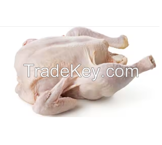 Cheap rate All in 1 Frozen Whole Chicken and Parts / Thighs / Feet / Paws