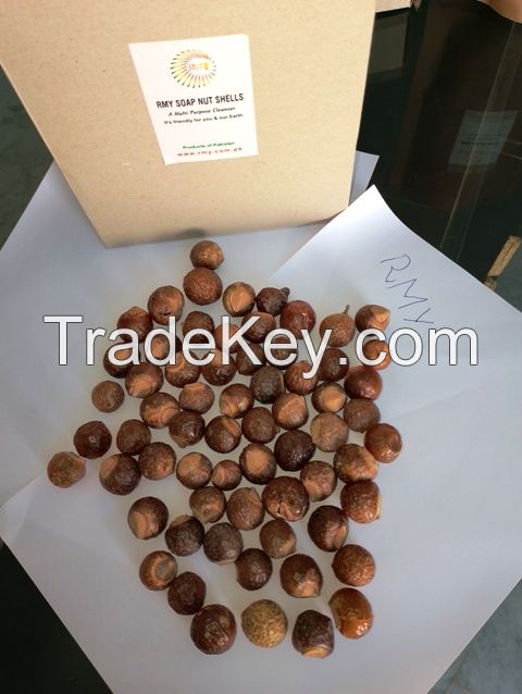 soap nuts  stand up pouch&box board packing