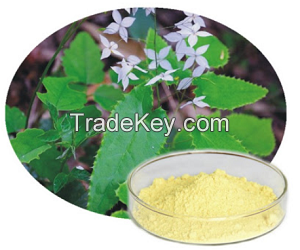 sales Epimedium P.E./Epimedium Extract