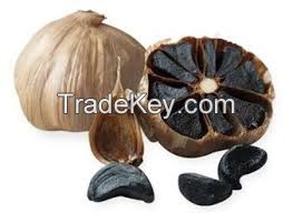 Black Garlic Extract Organic Black Garlic Extract Powder , SAC , Garlic polysaccharide