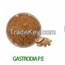 Gastrodia P.E. Gastrodia Rhizoma Extract 80% Gastrodin