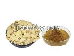 Selling plant extracts Astragalus P.E. Astragalus Root Extract Astragalus polysaccharide Astragalus polysaccharides 70%.