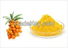 Selling plant extracts Fructus Hippophae P.E. Total flavonoids of sea buckthorn