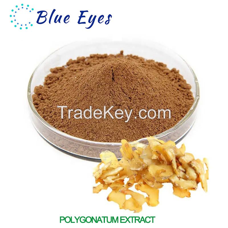 Selling plant extracts Solomonseal Rhizome P.E. Polygonatum extract Polygonatum polysaccharide