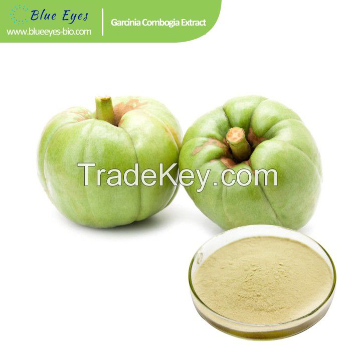 Garcinia cambogia Extract for Sale, Hydroxy Citric acid 50%-98%